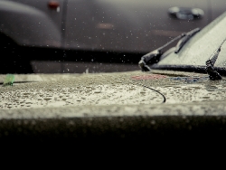 lotus-tasman-revival-2010-107