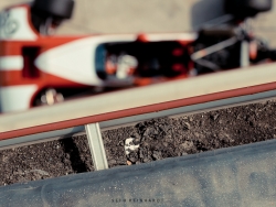 lotus-tasman-revival-2010-22