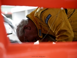 lotus-tasman-revival-2010-68