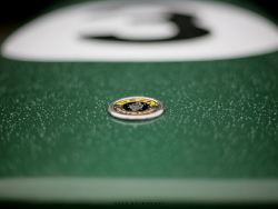 lotus-tasman-revival-2010-85