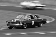 historic-racing-sydney-motorsport-park-jeremy-dale-36