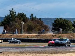 historic-racing-spring-festival-wakefield-park-seth-109