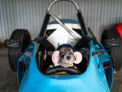 historic-racing-spring-festival-wakefield-park-seth-84