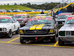 2017-sydney-classic-speed-festival-15