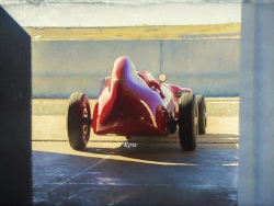 red-racer