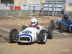 white-racer