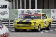 lores-Yellow-1965-Mustang