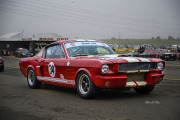 red-mustang-lores