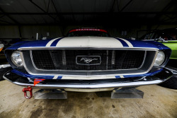2020-hsrca-spring-festival-campbell-armstrong-rider-10
