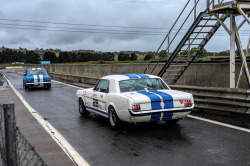 row-1966-tilley-mustang