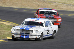 2021-hsrca-sydney-classic-bruce-moxon-16