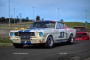 srow-sydney-classic-white-mustang-2