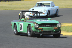 1222-hsrca-summer-festival-mark-walsh-40