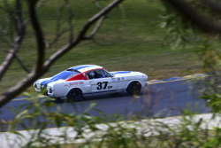 1222-hsrca-summer-festival-riccardo-benvenuti-94
