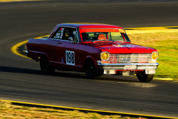 2024-hsrca-sydney-classic-campbell-armstrong-rider-87