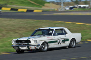 2024-hsrca-sydney-classic-peter-schell-27