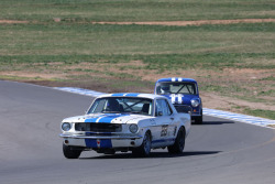 0825_hsrca_spring_festival_david_jenkins-39