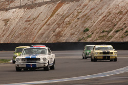0825_hsrca_spring_festival_mark_walsh-26