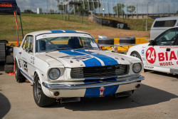 1125-hsrca-summer-festival-allen-harrison-62