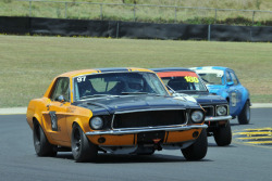 1125-hsrca-summer-festival-peter-schell-31