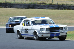 1125-hsrca-summer-festival-peter-schell-32