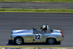 1125-hsrca-summer-festival-riccardo-benvenuti-51