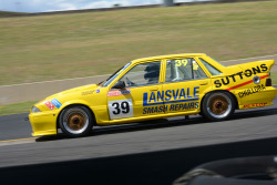 39-Don-Dimitriadis-Holden-Commodore-VL-8-1