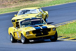 1125-hsrca-summer-festival-steve-koen-18