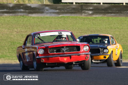 0625_david_jenkins_hsrca_sydney_classic-29