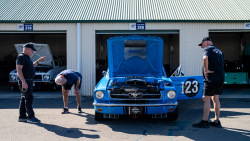 0926_seth_reinhardt_hsrca_spring_festival-1