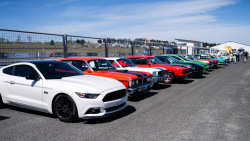 0926_seth_reinhardt_hsrca_spring_festival-22
