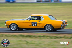 0926_steve_haskell_hsrca_spring_festival-48