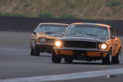 0926_wayne_jones_hsrca_spring_festival-50