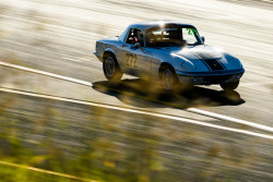 0626-hsrca-sydney-classic-campbell-armstrong-rider-45