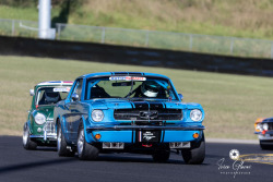 0626-hsrca-sydney-classic-ivica-glavas-40