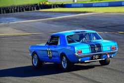 2026-hsrca-sydney-classic-Riccardo-Benvenuti-12
