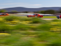 historic-racing-wp-seth-115
