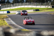historic-racing-sydney-motorsport-park-dan-stoodley-44