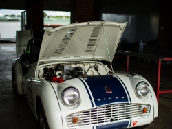 historic-racing-sydney-motorsport-park-dan-stoodley