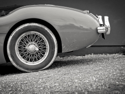 historic-racing-winter-50